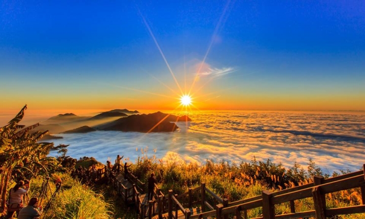 請教canon 16-35 F2.8 II代這棵星芒