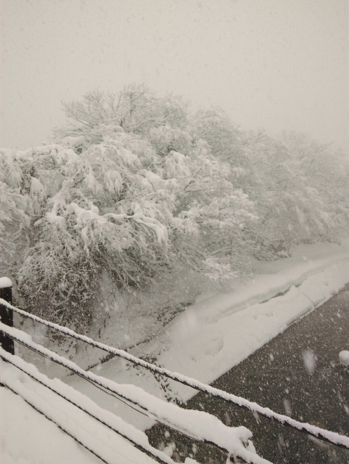 大雪下的白川鄉合掌村(2015-2-14日)