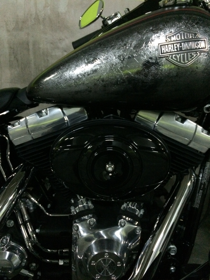 [分享] Harley-Davidson Softail Slim