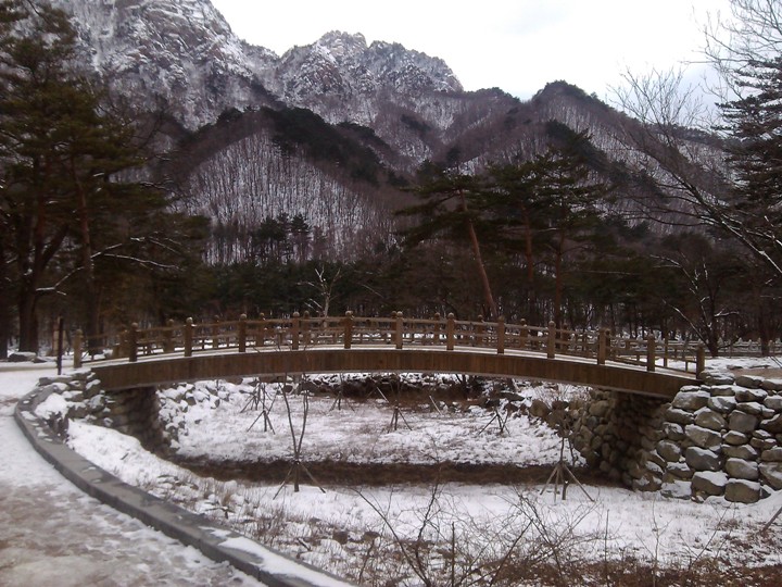 玩 瘋 韓 國 賞 雪 五 日 遊 ( 第 一、二 日 )