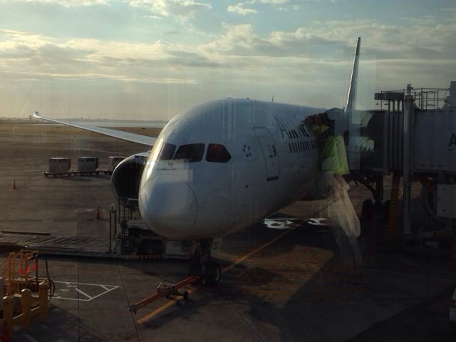 阿聯酋政府專機「波音787-8夢想機」