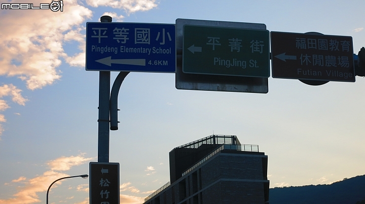 陽明山平菁街賞櫻嚕~
