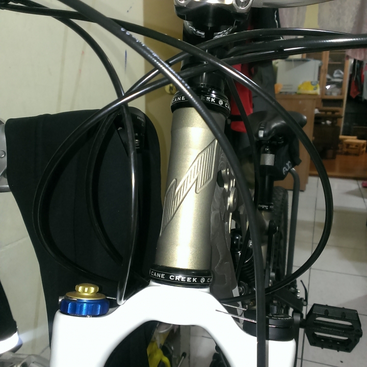 nicolai入手