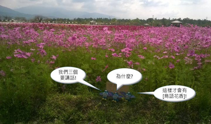 跟著SAM去環島-Day 5