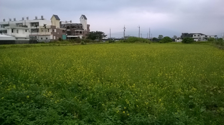 跟著SAM去環島-Day 5