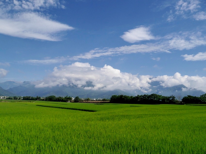 [分享] 遲來的開箱文，Panasonic GF6
