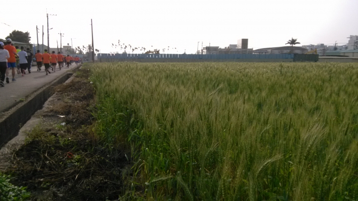 2015 跟飛機賽跑之感謝文