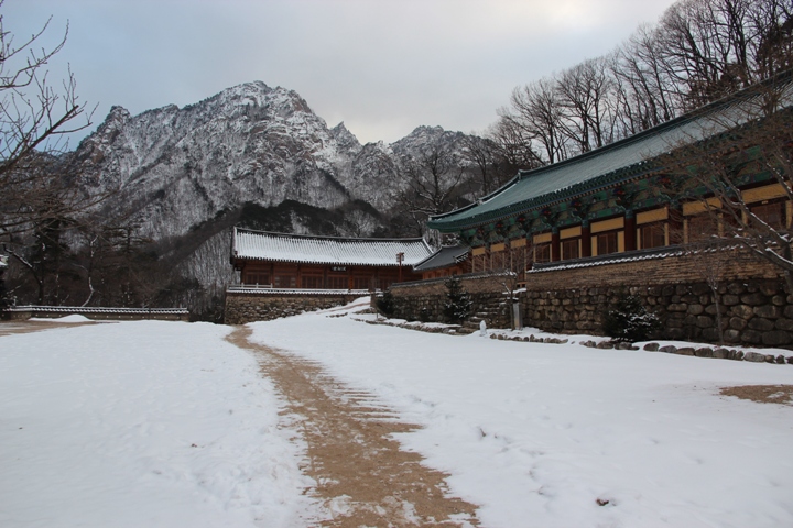 玩 瘋 韓 國 賞 雪 五 日 遊 ( 第 一、二 日 )