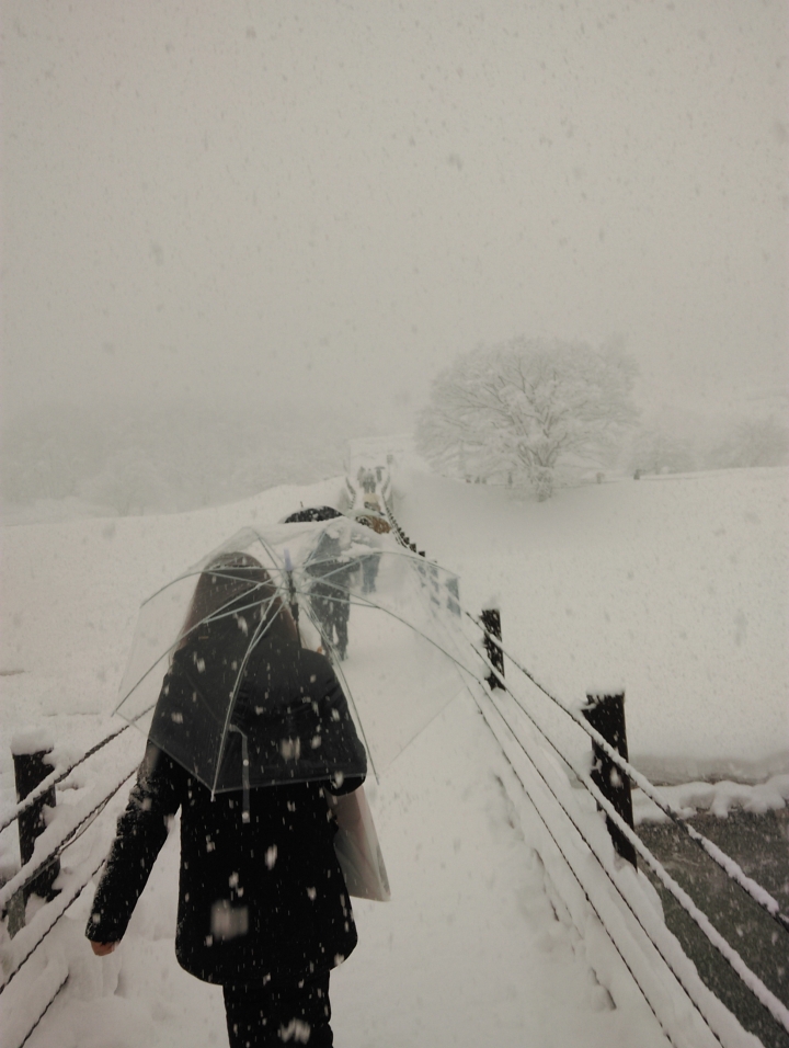 大雪下的白川鄉合掌村(2015-2-14日)