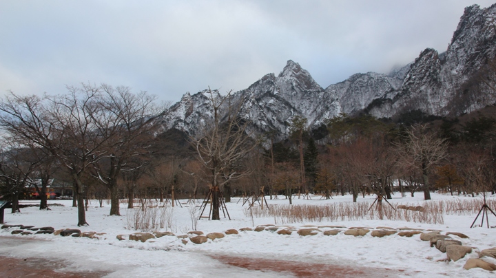 玩 瘋 韓 國 賞 雪 五 日 遊 ( 第 一、二 日 )
