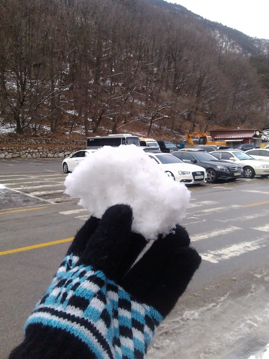 玩 瘋 韓 國 賞 雪 五 日 遊 ( 第 一、二 日 )