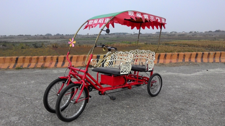 太陽能電動遊園車