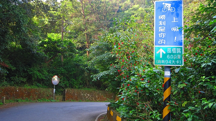 陽明山平菁街賞櫻嚕~