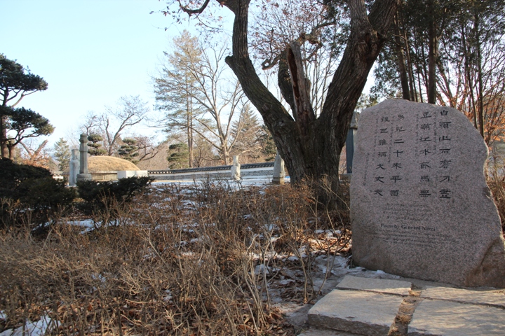 玩 瘋 韓 國 賞 雪 五 日 遊 ( 第 一、二 日 )