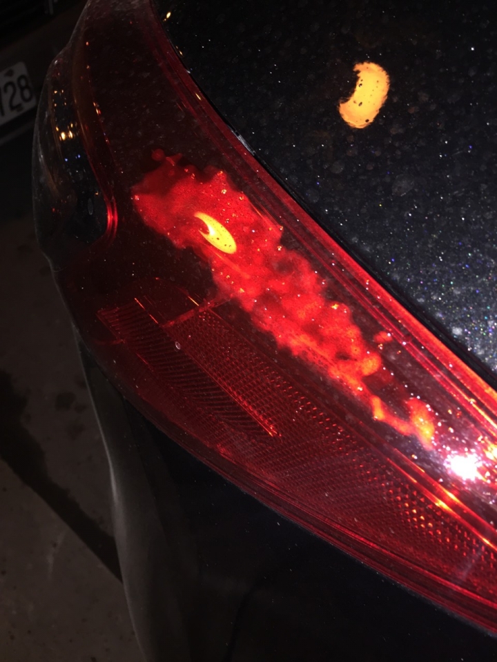 CX5  後燈具問題請教