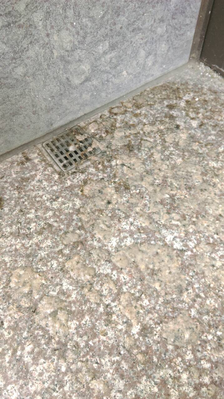 新莊頭前的新建案，排水孔冒水多日，工務所拖延未處理~求助大大援教