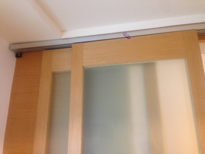 建議可幫我拆三片拉門含軌道的師傅(台中)