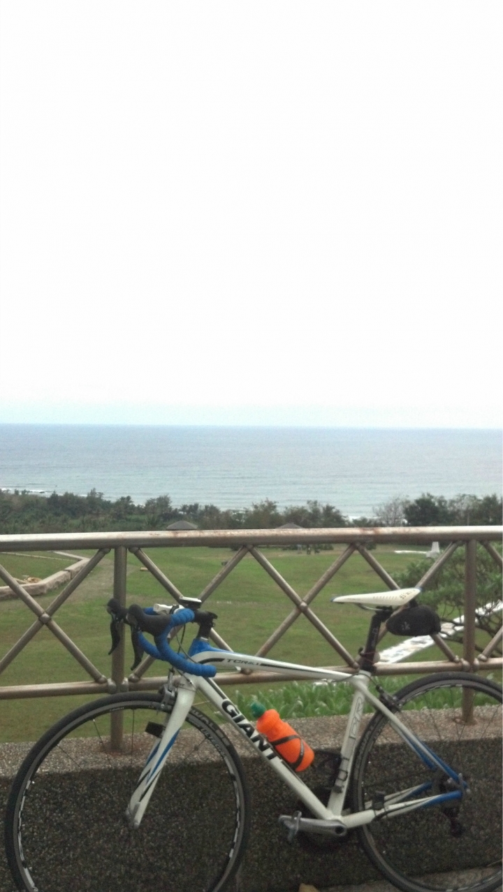 2011 Giant TCR SL1 留存價值？