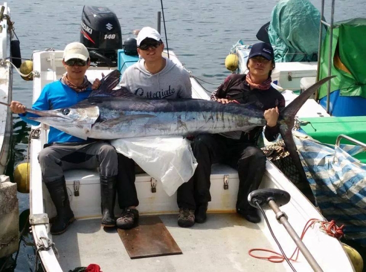 鐵板釣到旗魚 !!!