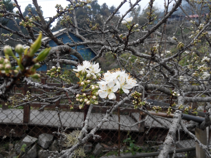 ford -好友默契出遊去 focus1.6免費試駕