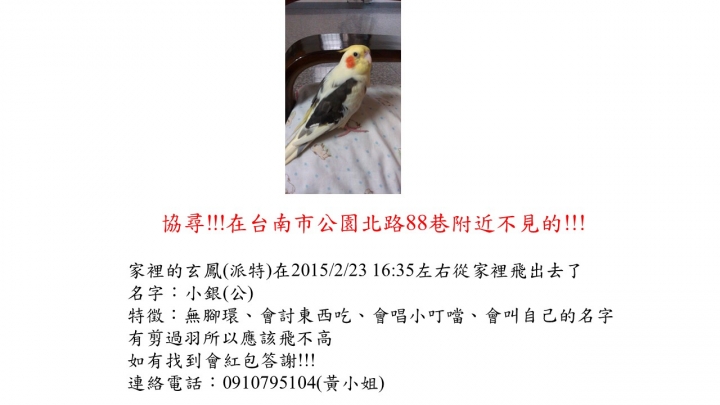 [鸚鵡協尋]   請求幫忙!!!