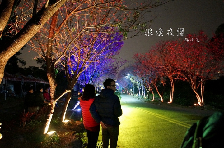 【2015台北賞櫻地圖】景點~北投復興三路賞夜櫻~迷人山櫻花隧道上方吳祀宗祠台北夜景交通攻略