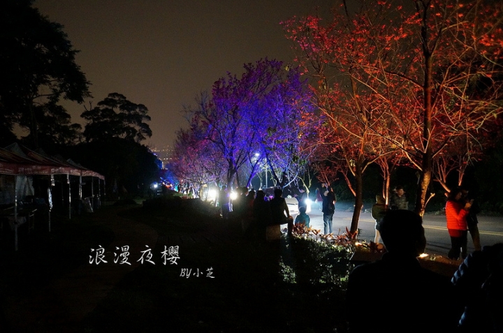 【2015台北賞櫻地圖】景點~北投復興三路賞夜櫻~迷人山櫻花隧道上方吳祀宗祠台北夜景交通攻略