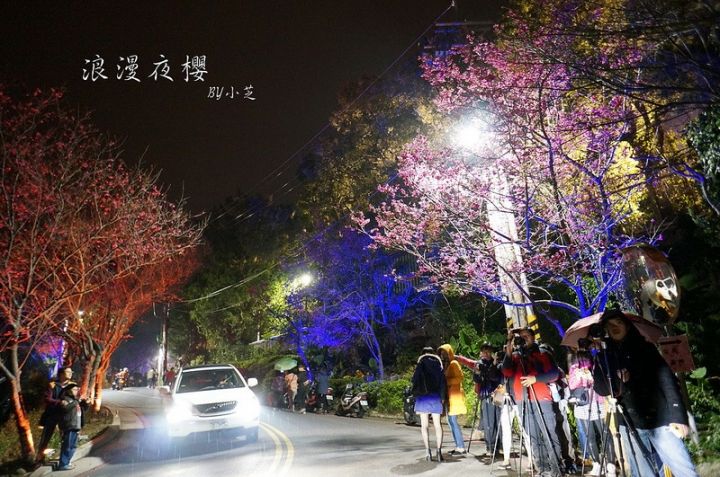 【2015台北賞櫻地圖】景點~北投復興三路賞夜櫻~迷人山櫻花隧道上方吳祀宗祠台北夜景交通攻略