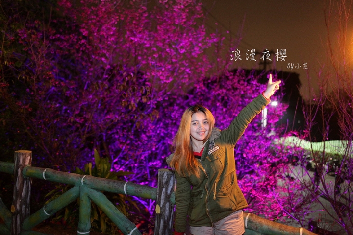 【2015台北賞櫻地圖】景點~北投復興三路賞夜櫻~迷人山櫻花隧道上方吳祀宗祠台北夜景交通攻略