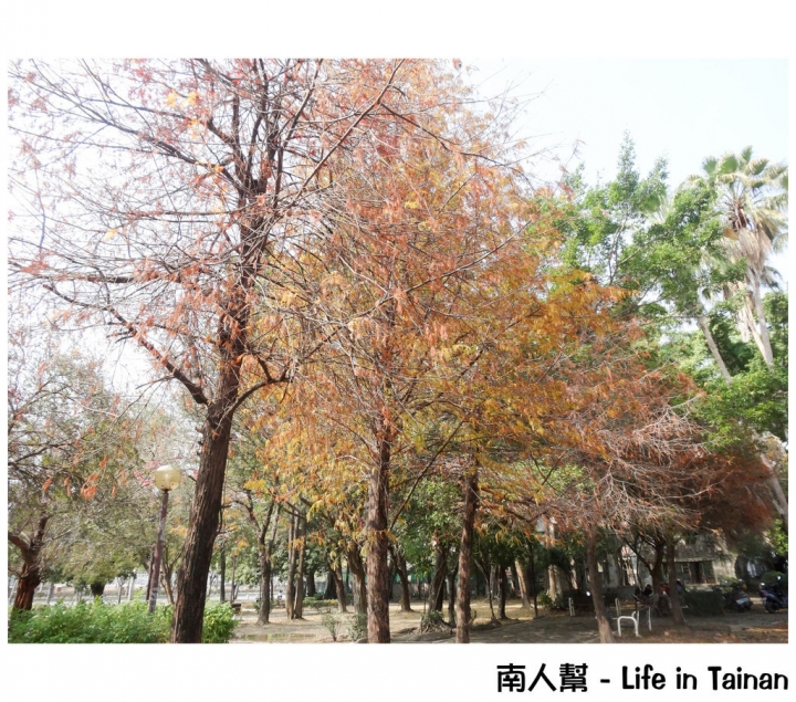 【台南市東區-景點】滿適合拍人像、黑白照的#東和公園#