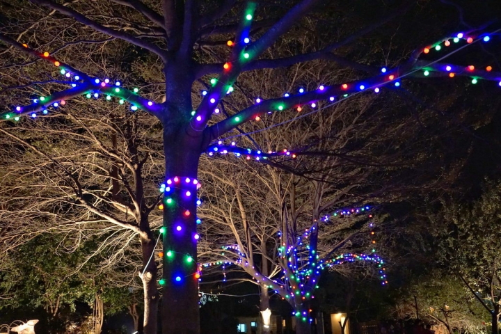 [鹽水區] 2015 月津港燈節 鹽水夜宴圖