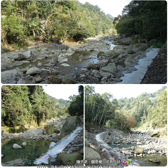 三代同堂，竹苗二日親子旅(採草莓+橄欖樹民宿+自然生態園區 +茶摳DIY)