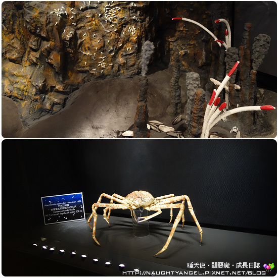 兒童節很精彩 ● 來基隆海科館逛展覽 [學習！未來的遊樂園 ](禮物在文章中喔)