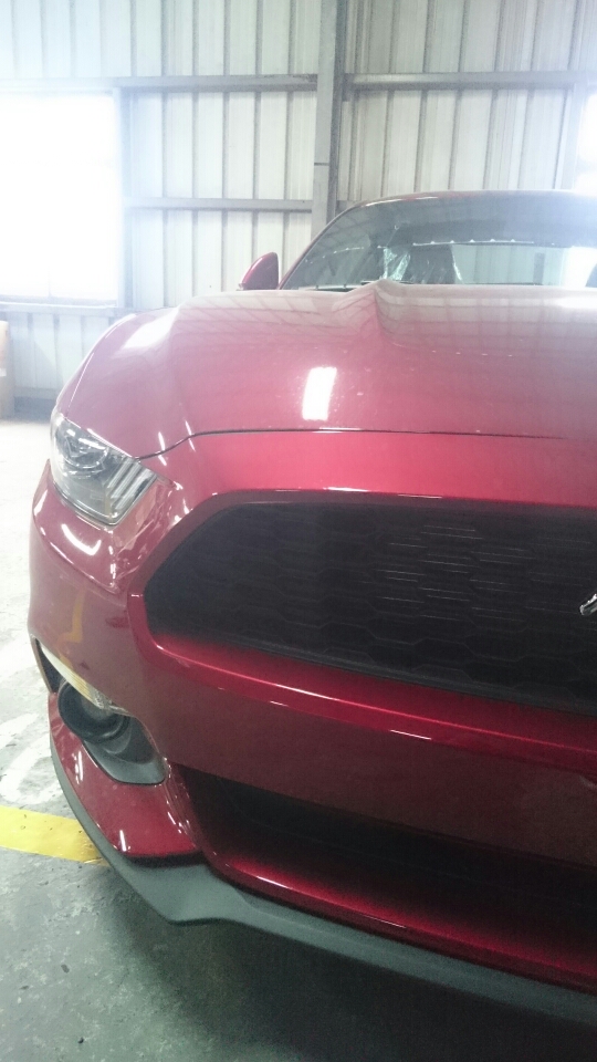 2015 Ford Mustang 預開箱