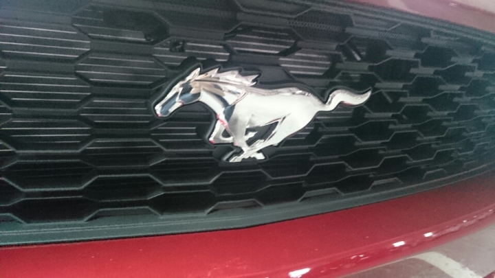 2015 Ford Mustang 預開箱