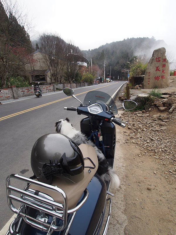 爛漫後的旅行
