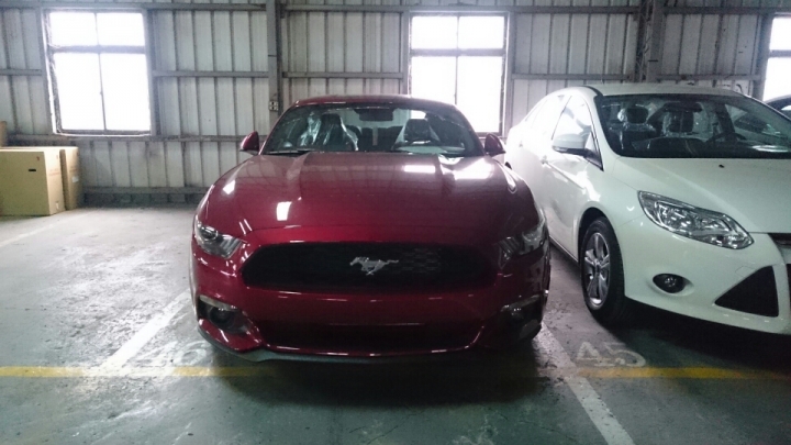 2015 Ford Mustang 預開箱