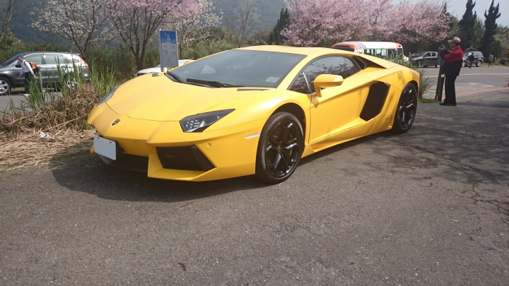陽明山看到兩台AVENTADOR