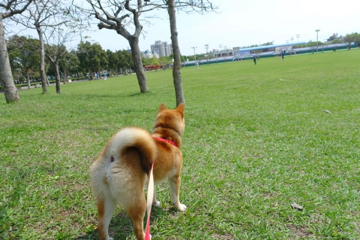 sony rx100m3 試機照