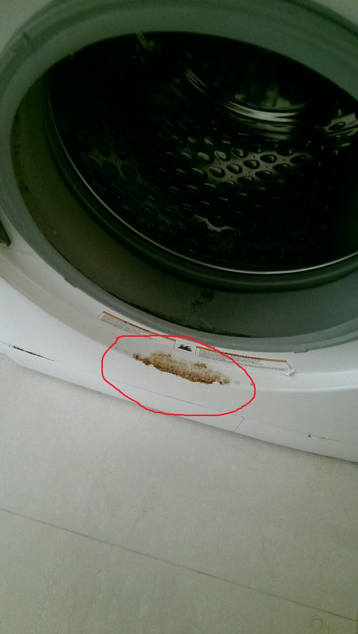 bosch 洗衣機用兩年就生鏽了!!!