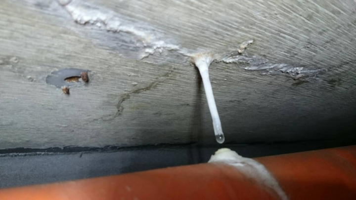 新成屋交屋後-漏水-疑似建設公司人員入侵