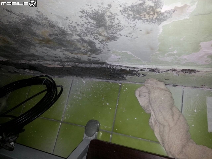 [求解]浴室旁房間牆壁 嚴重壁癌 牆角滲水 如何處理