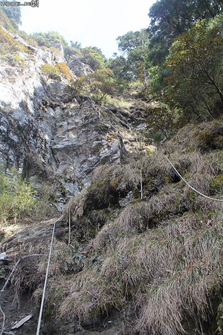 2015.03.14-屏風山(麻辣天王)天氣優(開啟2015封印)