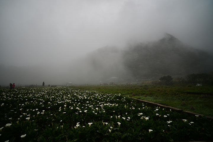 請問Nikon DF + Zeiss 21mm F2.8 ZF2問題