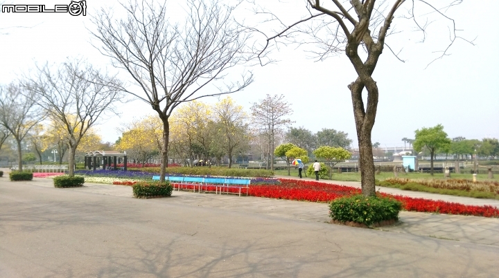 彰化溪州(費茲洛)花園散步遊
