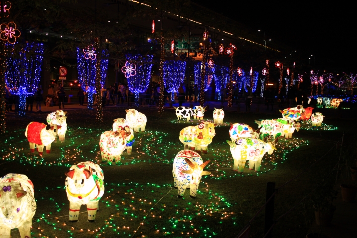 500D+EF-S24  F2.8 .......的燈會