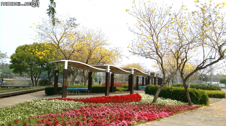 彰化溪州(費茲洛)花園散步遊