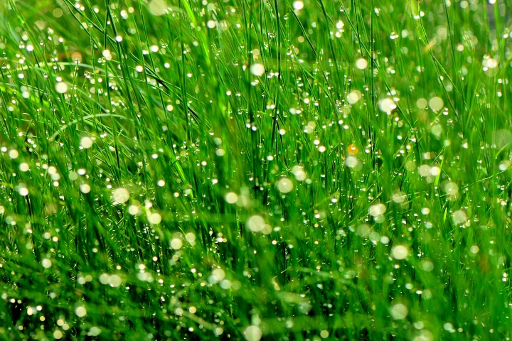 朝露蓋個樓 !!