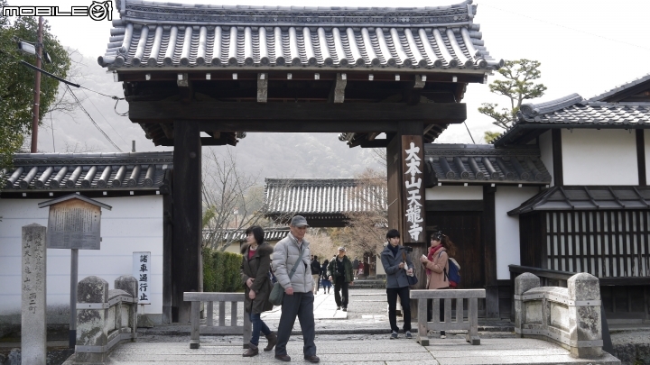(京都)嵐山竹林小徑.天龍寺散步遊