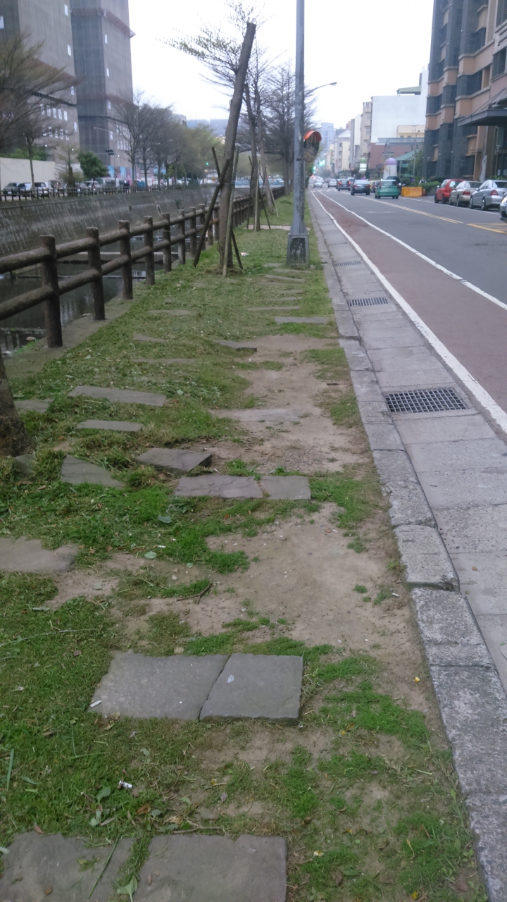 竹北豆子埔溪(自強北路至莊敬北路段)腳踏車道工程